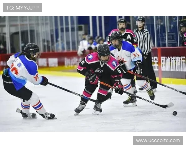 武汉网球队在全国锦标赛中的状态分析与表现总结