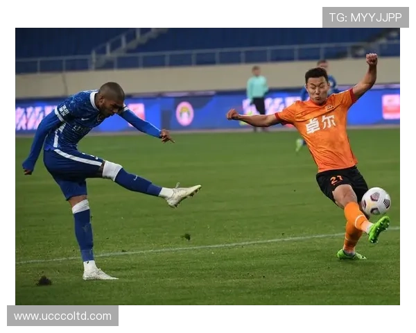 武汉足球队的奋斗历程与荣耀时刻全景纪实