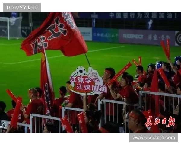 武汉足球队在城市联赛中的技术表现分析与点评