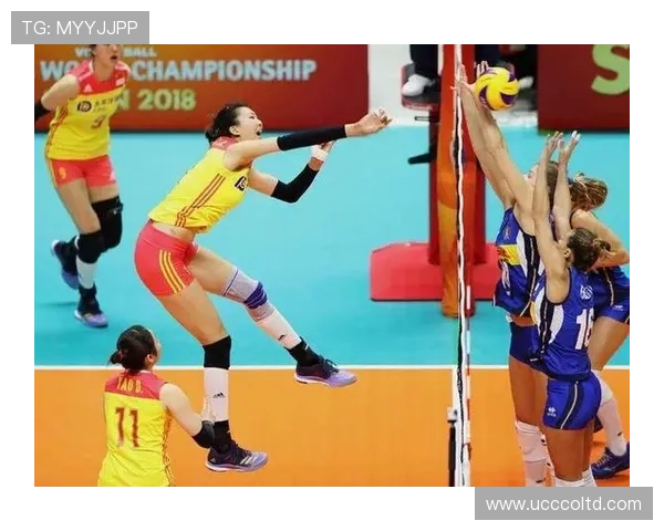 深圳排球队在全国锦标赛中的耐力表现分析与总结