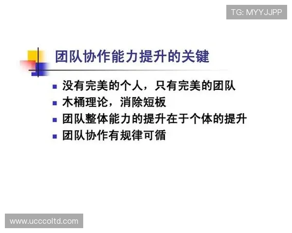 广州篮球队深度解析:球员个人能力与团队协作的完美融合 广州篮球队深度解析:球员个人能力与团队协作的完美融合