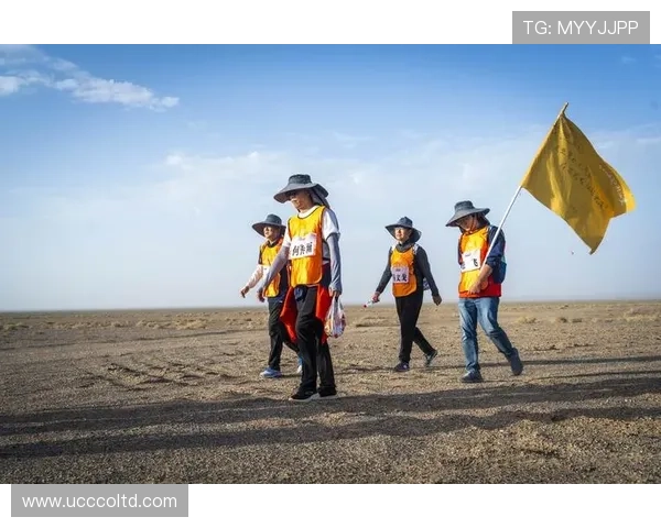 上海足球队阵地战革新探索：重塑战术理念与团队协作新模式