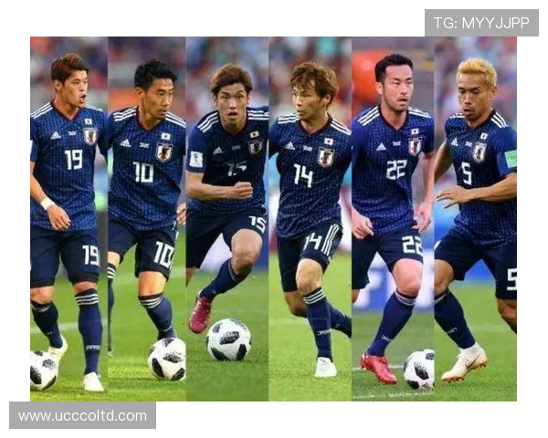 北京网球队以81分领跑世界锦标赛积分榜展现强劲实力