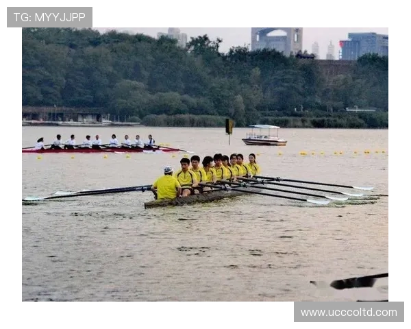 南京排球队速度之美大满贯点评展现竞技魅力与团队协作