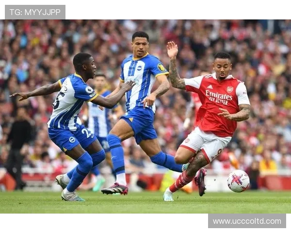 探索小众阿森纳足球明星背后的故事与成就