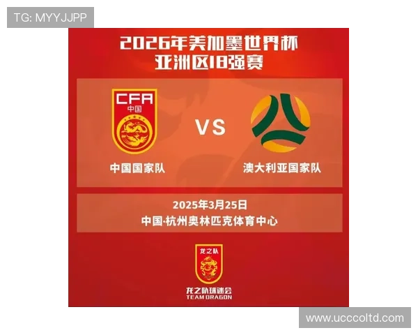 杭州排球队在世界杯中的灵活性表现引发热议展现团队协作与战术创新