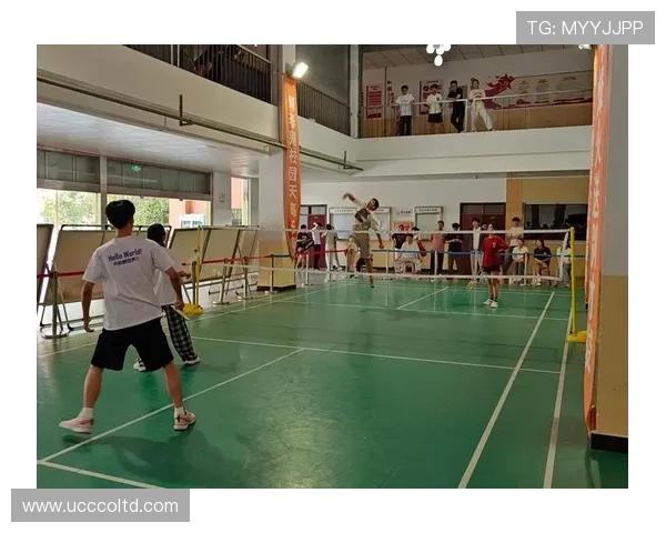 独家解析北京羽毛球队心理素质差异及其对比赛表现的影响