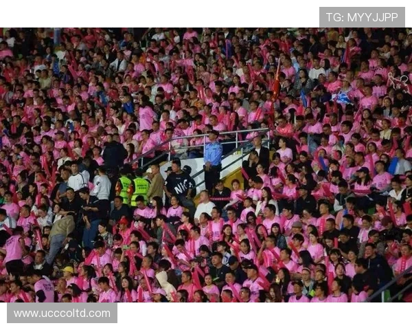 足球明星与观众激烈对骂引发热议赛场内外的情绪碰撞与反思