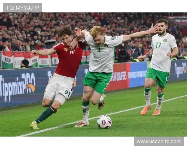 爱尔兰足球明星盘点：从传奇球员到当代新星的辉煌历程