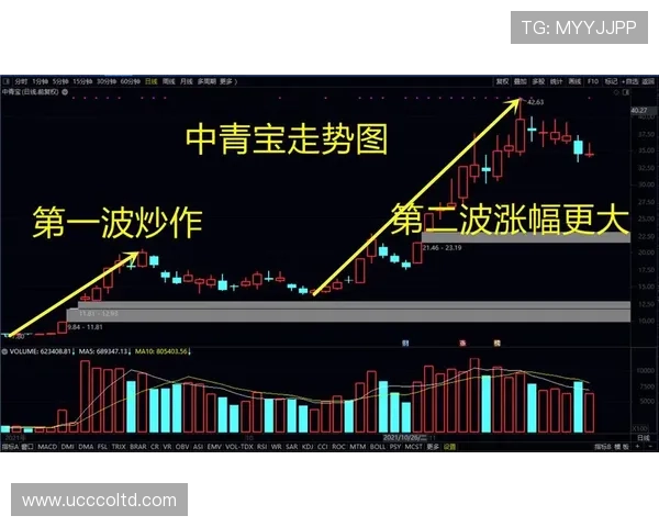 赛后分析：北京篮球队与南京篮球队在比赛中速度对比的深度探讨