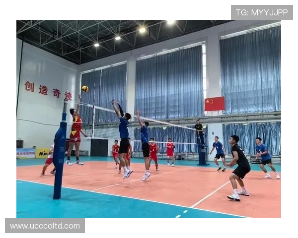 南京排球队逆袭之路揭秘洲际杯背后的奋斗与荣耀