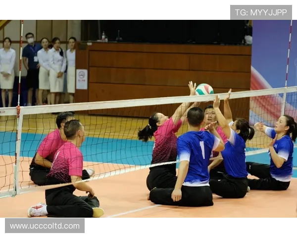 权威发布：2023年全球排球力量实力榜单全面解析与排名揭秘